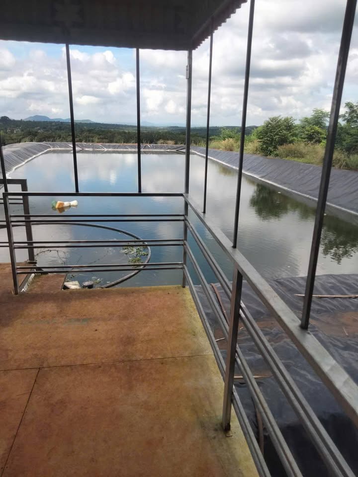 Đất nông nghiệp 18ha tại xã Ea Kuêh, Đắk Lắk - Giá chỉ 2 tỷ/ha, sẵn sổ đỏ!