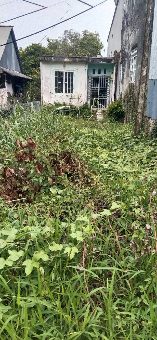 Đất thổ cư + nhà đường Quảng Bạch, P6, Cao Lãnh 150.4m² giá 1.1 tỷ - Đầu tư sinh lời ngay!