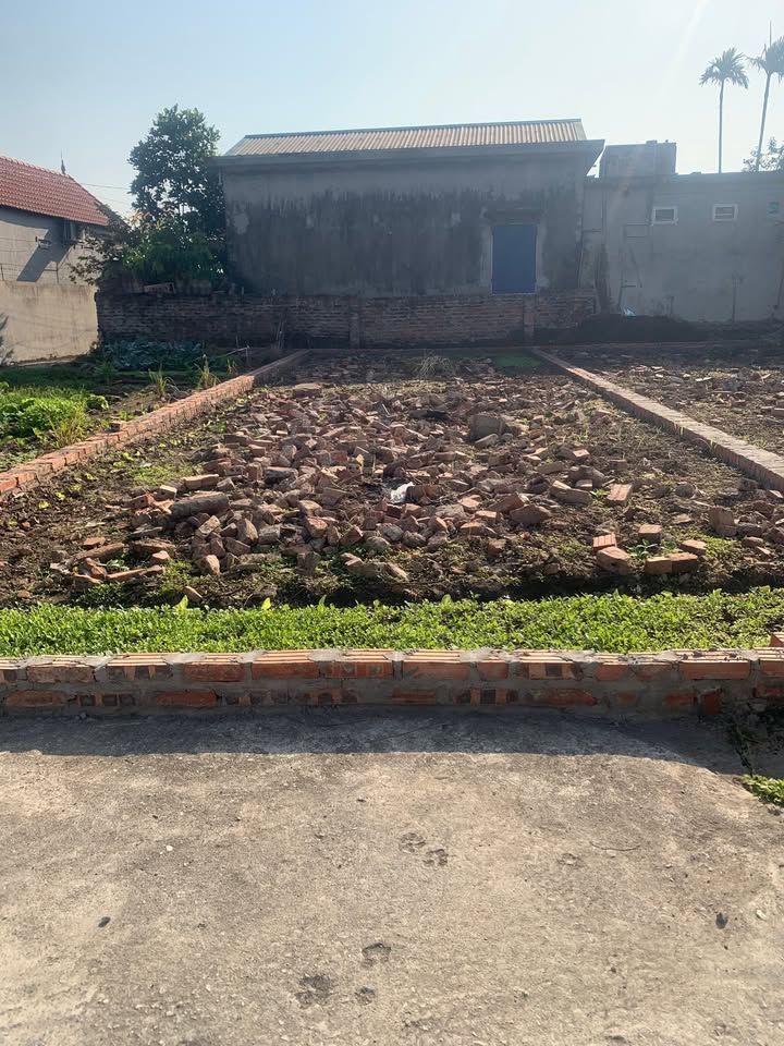 Đất nền Tiên Minh, Tiên Lãng 79-82m² chỉ từ 600 triệu - Cơ hội đầu tư hấp dẫn!