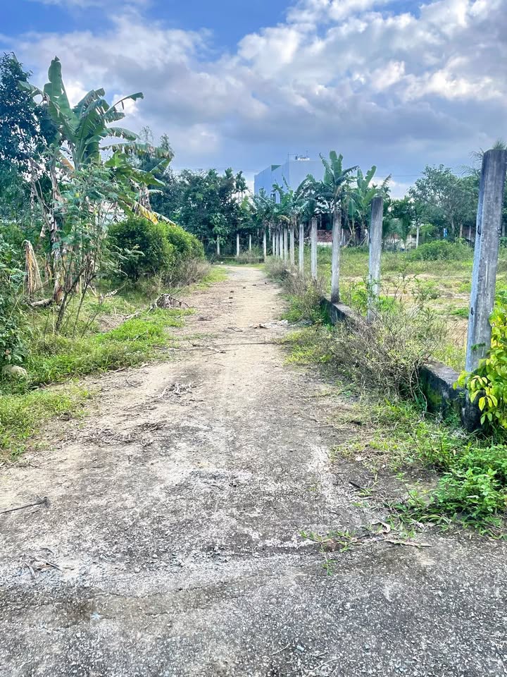 Lô đất vườn 3000m² tại Hòa Ninh - Đường bê tông ô tô vào tận nơi, giá chỉ 3 tỷ!