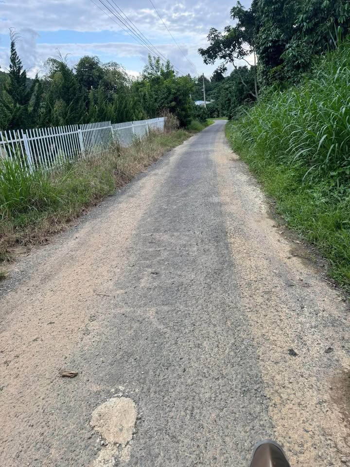 Đất thổ cư 100m² tại xã Tân Lạc, huyện Bảo Lâm, Lâm Đồng - Giá 2.3 tỷ, vị trí đẹp gần chợ!