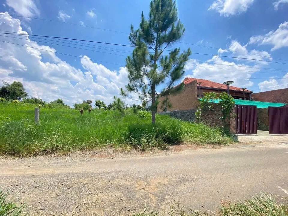 Đất nền Lộc An, Bảo Lâm 294m² giá 850 triệu - Cơ hội đầu tư hấp dẫn!