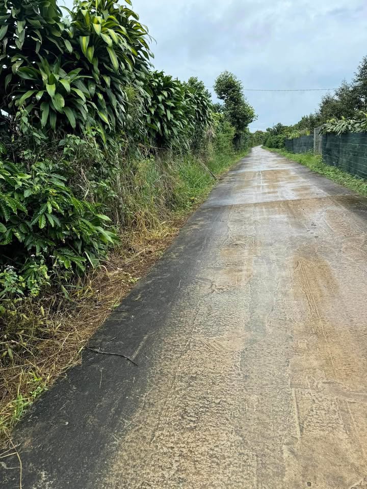 Đất nền Hòa Nam, Di Linh 2443m² giá 2.5 tỷ - Đầu tư nghỉ dưỡng lý tưởng!