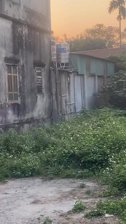 Đất mặt tiền 132m² tại Nam Quất, Nam Triều, Phú Xuyên – Giá chỉ 37 tỷ!