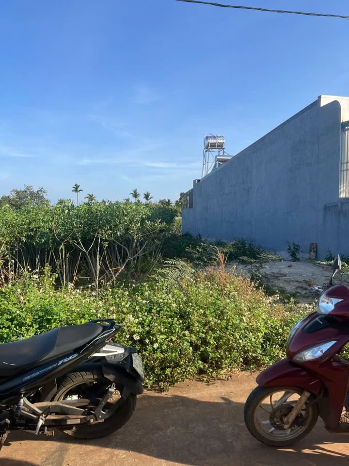 Đất nền 125m² tại Khu Thái Phúc, Huyện Cư M'gar - Hướng Nam, giá chỉ 1.5 tỷ!