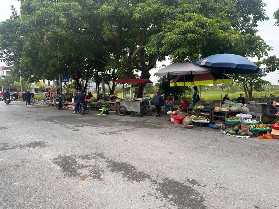 Đất thổ cư tại thôn Quán Đào, Gia Lộc 100m² giá 2 tỷ - Đầu tư sinh lời ngay!