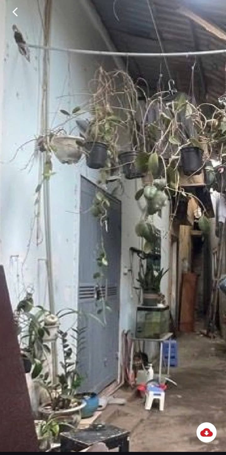 Nhà cấp 4 Ngọc Thụy 30m² giá 4 tỷ - Sổ đỏ chính chủ sang tên ngay!