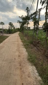 Đất thổ cư Xuân Tây, Cẩm Mỹ 100m² giá 6.1 tỷ - Đầu tư sinh lời ngay!