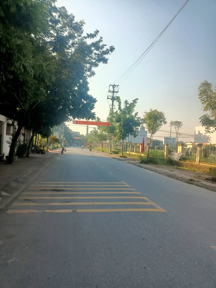 Đất thổ cư 245m² tại Xã Đại Tự, Vĩnh Phúc - Giá chỉ 16 triệu/m², thương lượng chính chủ!