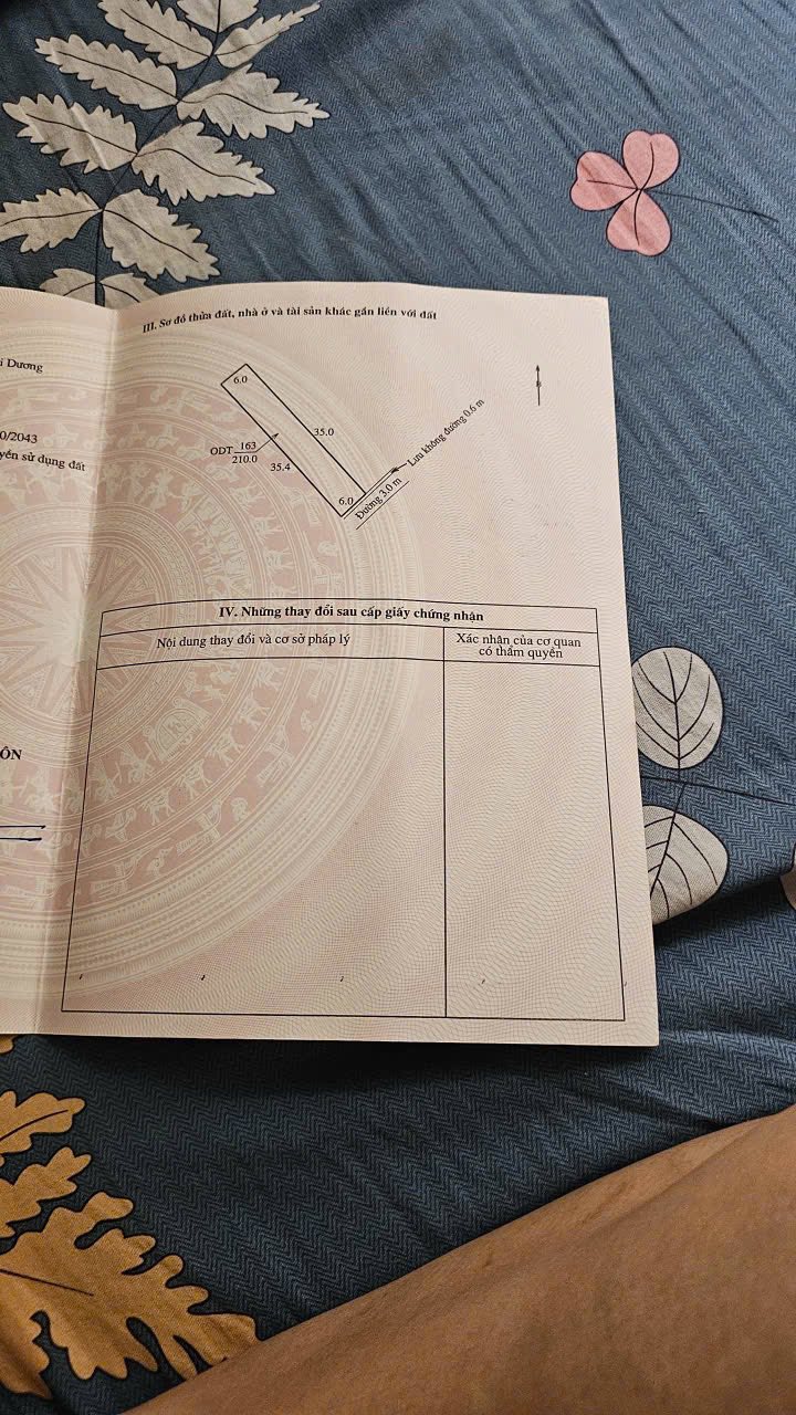 Đất nền Hiệp An Kinh Môn 210m² giá 1.4 tỷ - Sổ đỏ chính chủ, vị trí đắc địa!