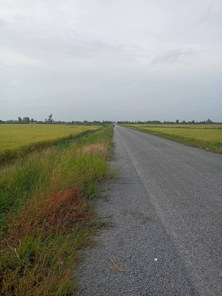 Đất mặt tiền đường Minh Lương Giục Tượng 480m² giá 470 triệu - Đầu tư sinh lời tiềm năng!