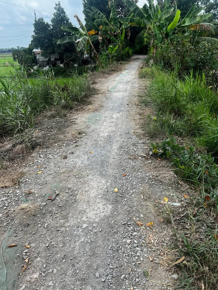 Đất Farm 7000m² xã Phú Lộc - Giá chỉ 230 triệu, tiện lợi chuyển mục đích!