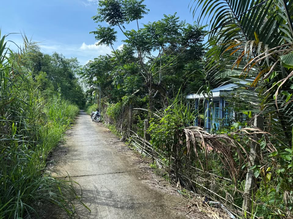 Đất thổ cư Phú Quới, Long Hồ 969m² - Cơ hội đầu tư tuyệt vời!