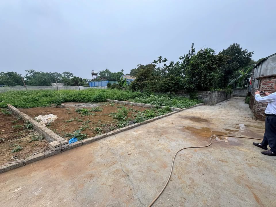 Đất thổ cư 100m² xã Phú Cát, huyện Quốc Oai chỉ 1 tỷ - Sổ hồng chính chủ, công chứng ngay!