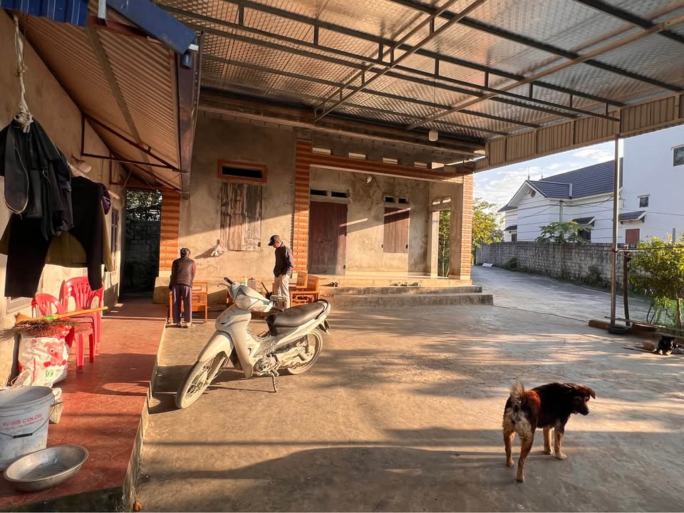 Đất thổ cư 1000m² tại Sơn Thủy, Thanh Thủy, Phú Thọ - Giá chỉ 6.5 tỷ, cơ hội đầu tư tuyệt vời!