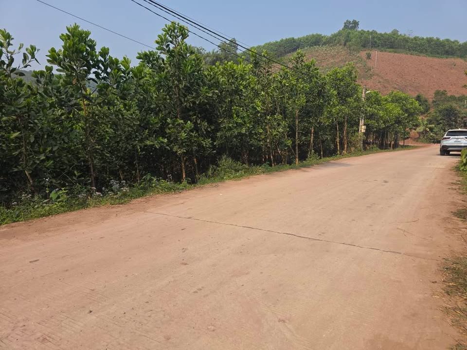 Lô đất 2664m² tại Thung Nai, Cao Phong, Hòa Bình - View nghỉ dưỡng tuyệt đẹp!