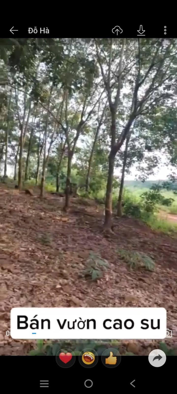 Đất nền Tân Lợi, Đồng Phú 10000m² giá 2.2 tỷ - Mặt tiền đường nhựa rộng rãi!