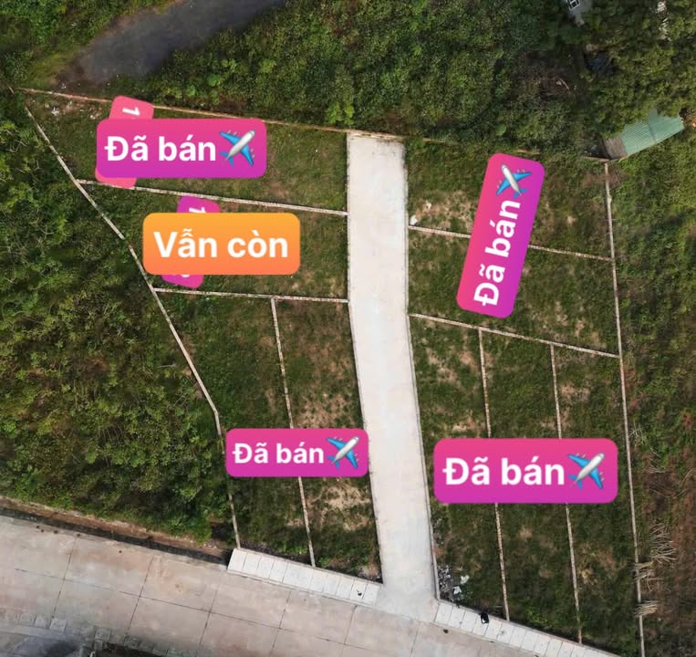 Đất thổ cư 101m² tại Tân Thành, Ba Vì giá 600 triệu - Cơ hội đầu tư tuyệt vời!