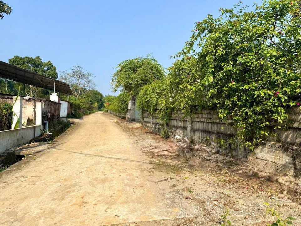 Đất thổ cư 300m² xã Thanh Mỹ, Sơn Tây - Giá chỉ 2,x tỷ, sẵn sổ!