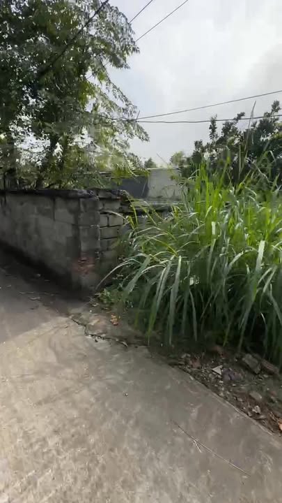 Đất thổ cư Tản Lĩnh, Ba Vì 1029m² giá 4 tỷ - Cơ hội đầu tư tuyệt vời!