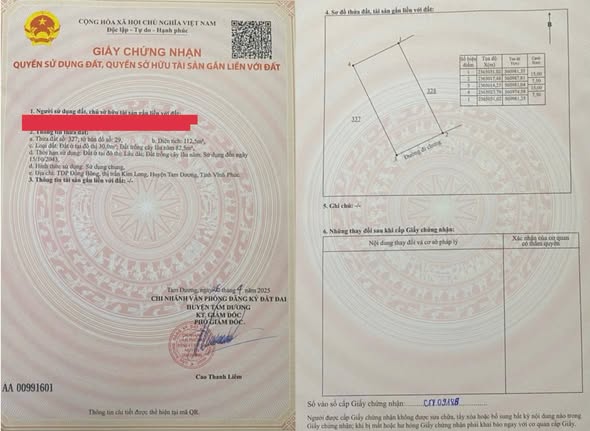 Đất nền Huyện Tam Dương 112.5m² giá thỏa thuận - Sổ hồng chính chủ ngay trong ngày!