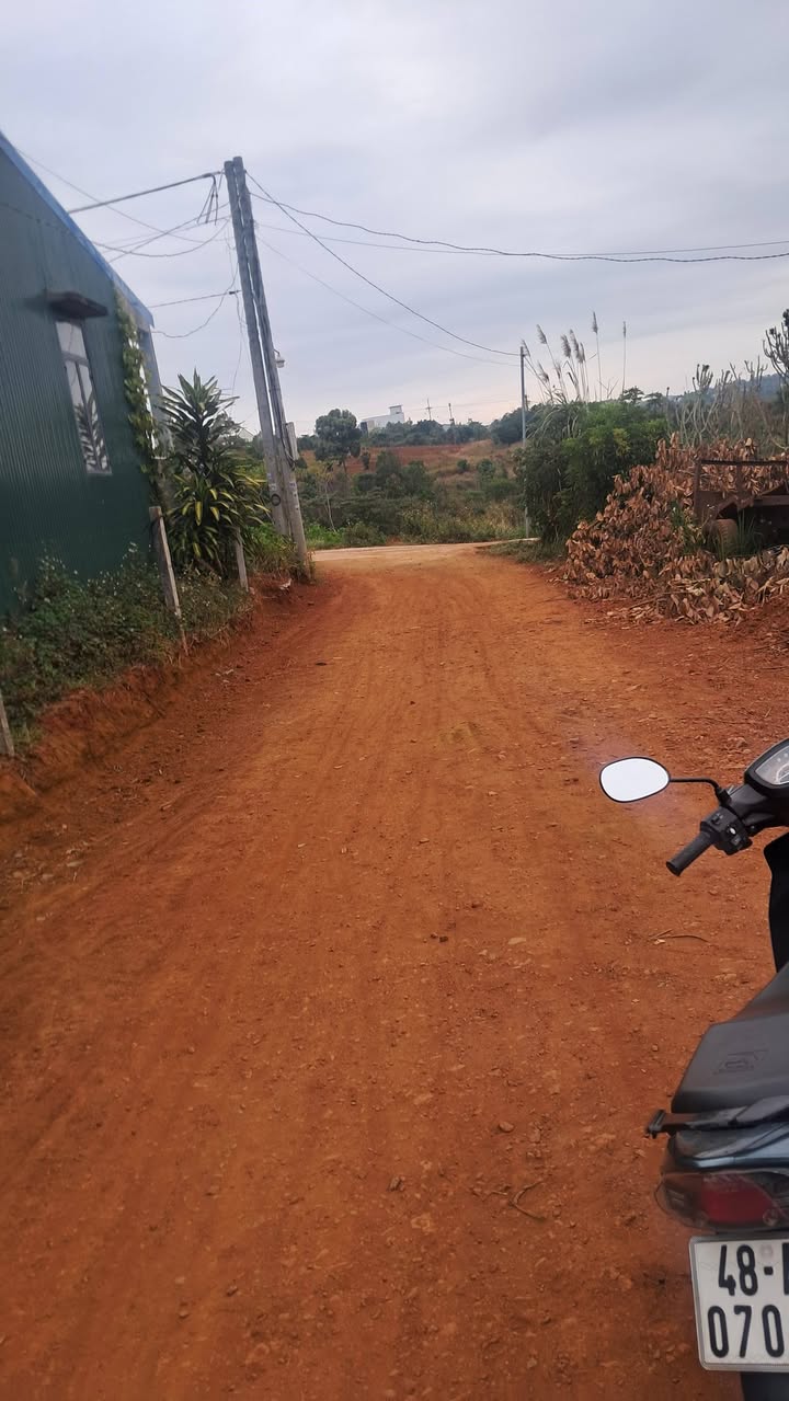 Đất nền 240m² phường Nghĩa Trung, Gia Nghĩa - Giá chỉ 550 triệu, bớt lộc hấp dẫn!