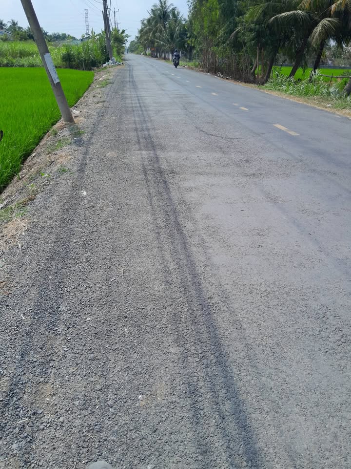 Đất nông nghiệp mặt tiền TL 873, Bình Xuân, Gò Công, 1000m² - Giá tốt thương lượng chính chủ!