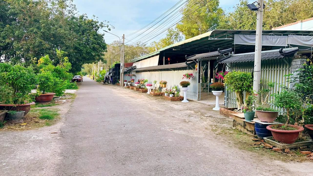 Đất thổ cư 320m² tại Nhựa Long Tân, Dầu Tiếng - Giá chỉ từ 900 triệu!