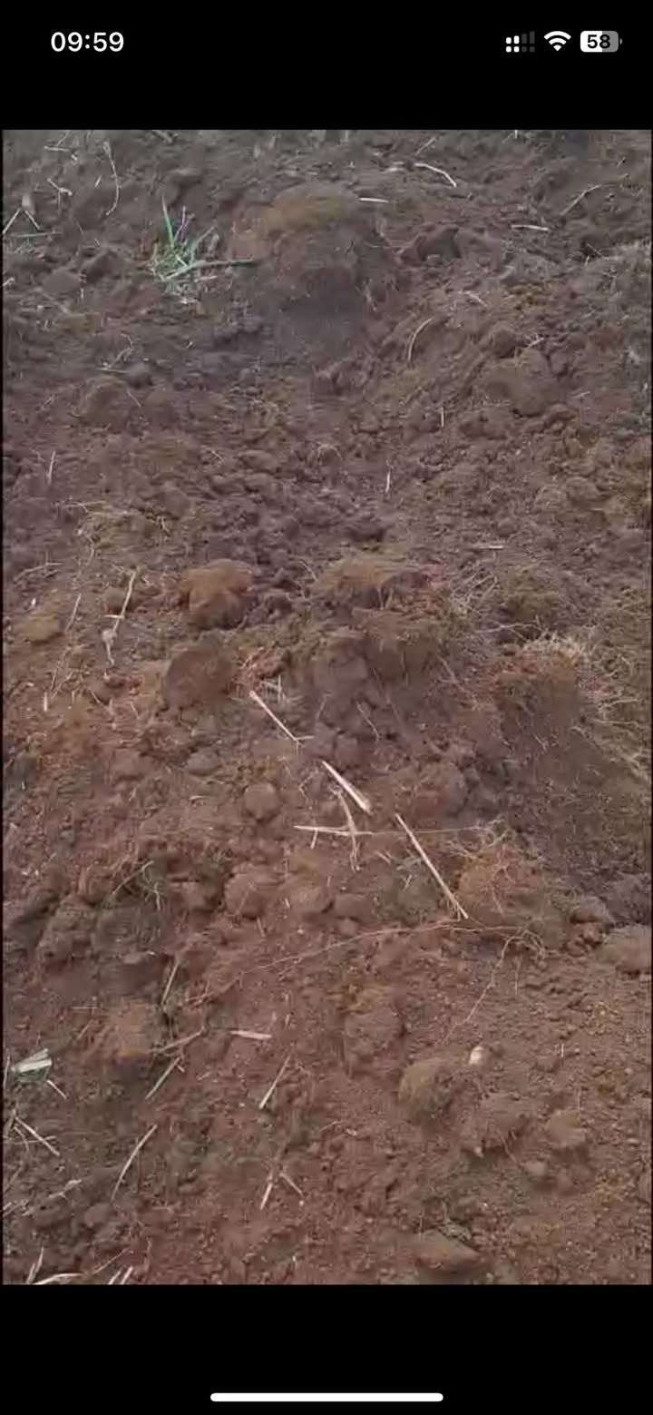 Đất vườn 13200m² tại Thị trấn Eakar, Đắk Lắk - Sổ hồng chính chủ, giá chỉ 6x tỷ!