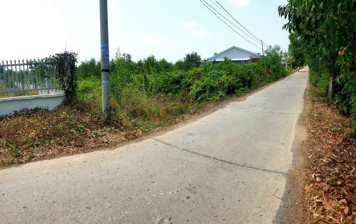 Đất nền ấp 10, xã Lương Hòa, Bến Lức 1460m² giá 3 tỷ - Cơ hội đầu tư sinh lời!