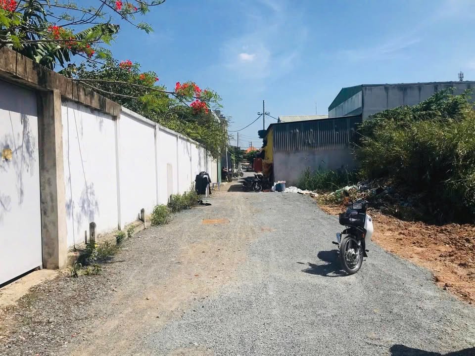 Đất nền Tân Kiên, Bình Chánh 124m² giá 4.1 tỷ - Đầu tư sinh lời ngay!