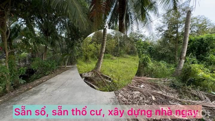 Đất nền ấp Mỹ Phú, xã Long Khánh, 537m² giá 550 triệu - Đầu tư lý tưởng cho nghỉ dưỡng!