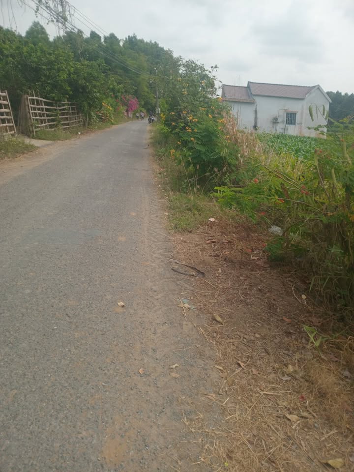 Đất mặt tiền xã Ngọc Biên Trà Vinh 6226m² giá 200 triệu/công - Cơ hội đầu tư hấp dẫn!