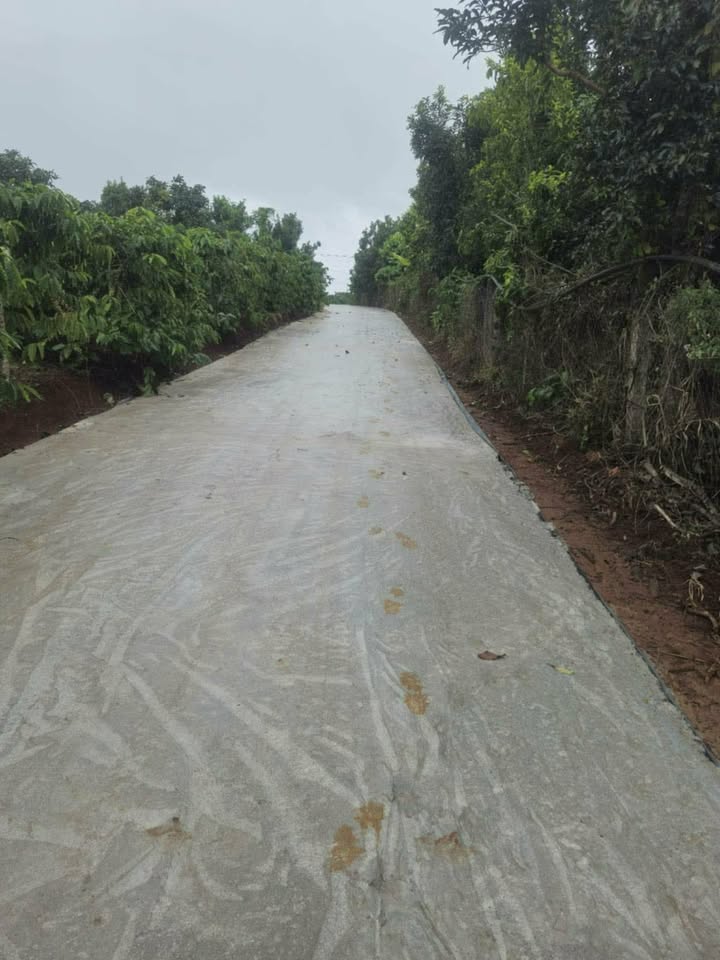 Đất thổ cư Đinh Lạc, Di Linh 180m² giá 400 triệu - Sổ đỏ chính chủ, đất đẹp