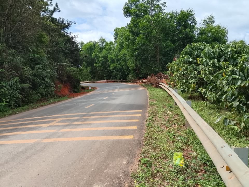 Đất nền Di Linh Lâm Đồng 82m² chỉ 1.6 tỷ - Sổ hồng chính chủ, vị trí đẹp!