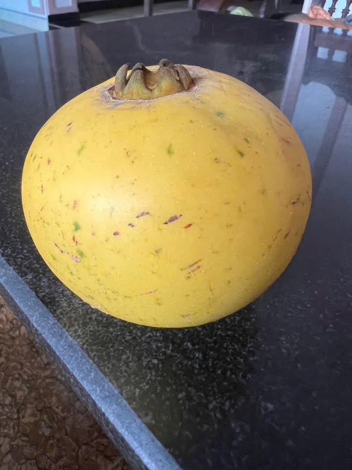 Đất thổ cư Hóc Môn 126m² giá 5.25 tỷ - Cơ hội đầu tư hấp dẫn!