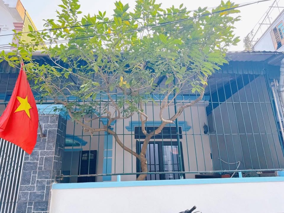 Nhà cho thuê phường Trung Đô, TP Vinh 120m² - Không gian yên tĩnh, thoáng mát