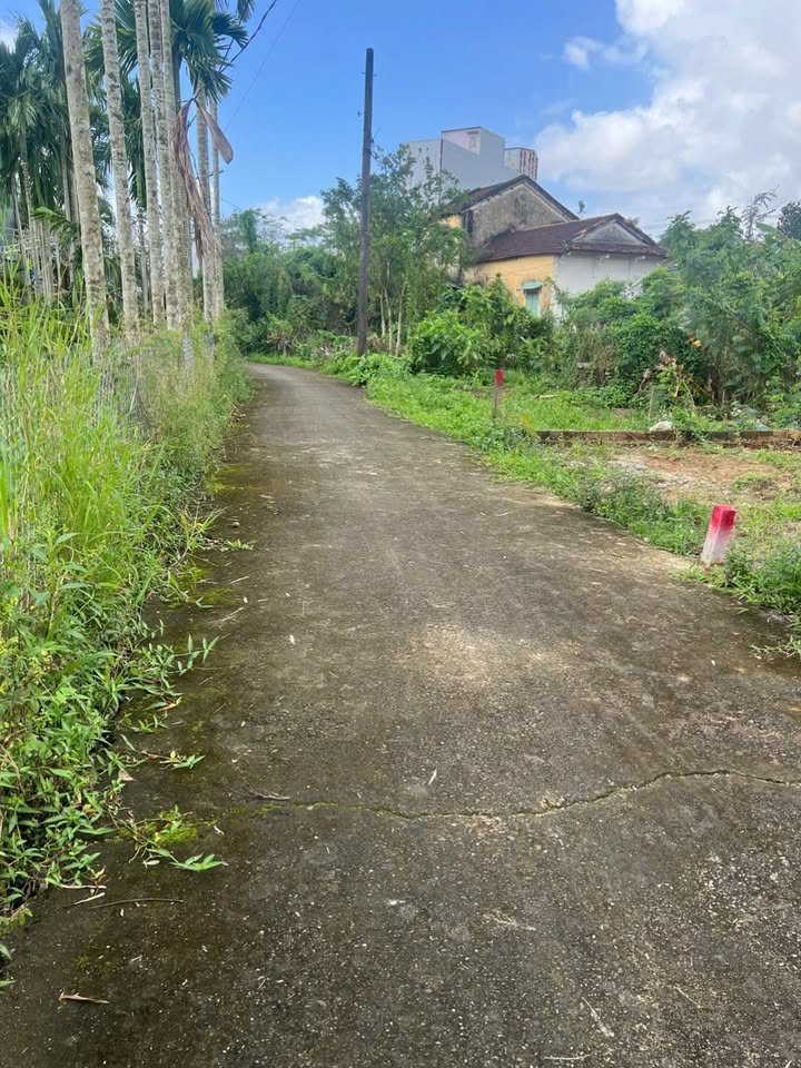 Đất nền Phong Nam, Hòa Xuân 130m² giá 2.19 tỷ - Đất đẹp, dân cư hiện hữu!