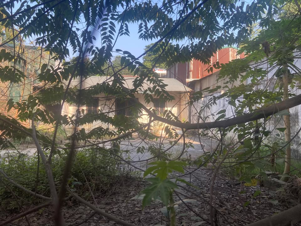 Đất thổ cư 200m² tại khu CN Chàng Sơn - Giá thỏa thuận - Đường rộng ô tô vào tận nơi!