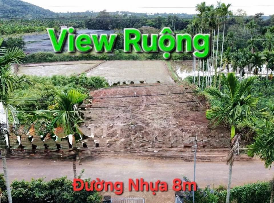 Đất hẻm cấp 1 Đại Lộ Đông Tây, 175m² giá 1.35 tỷ - Cơ hội đầu tư tuyệt vời!