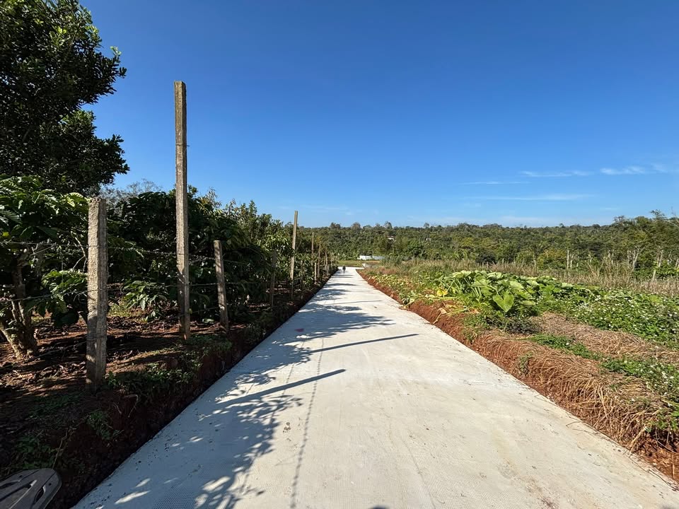 Đất thổ cư 189m² tại xã Krông Năng, Đắk Lắk - Giá chỉ từ 1xx triệu!