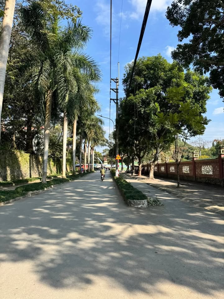 Lô đất Tổ Sơn, Phường Cửa Nam 97.6m² giá 2 tỷ - Đầu tư sinh lời ngay!