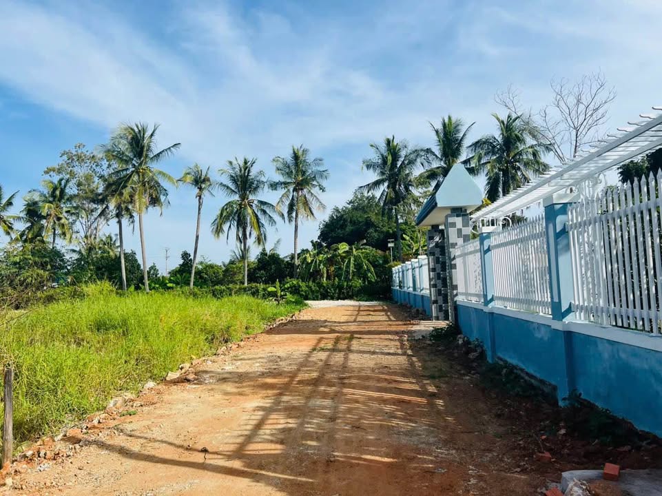 Đất nông nghiệp 3600m² tại Hàm Hiệp, Phan Thiết - Chốt nhanh 800 triệu VND!