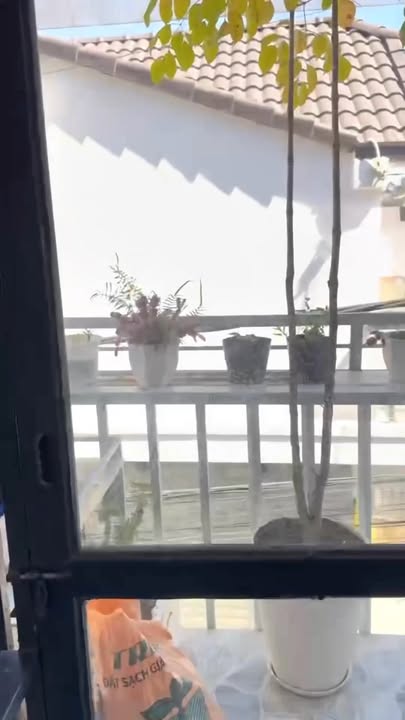 Nhà nguyên căn đường 3/4, Đà Lạt 3PN giá 5 triệu - Thuận tiện xe ô tô tới tận nhà!