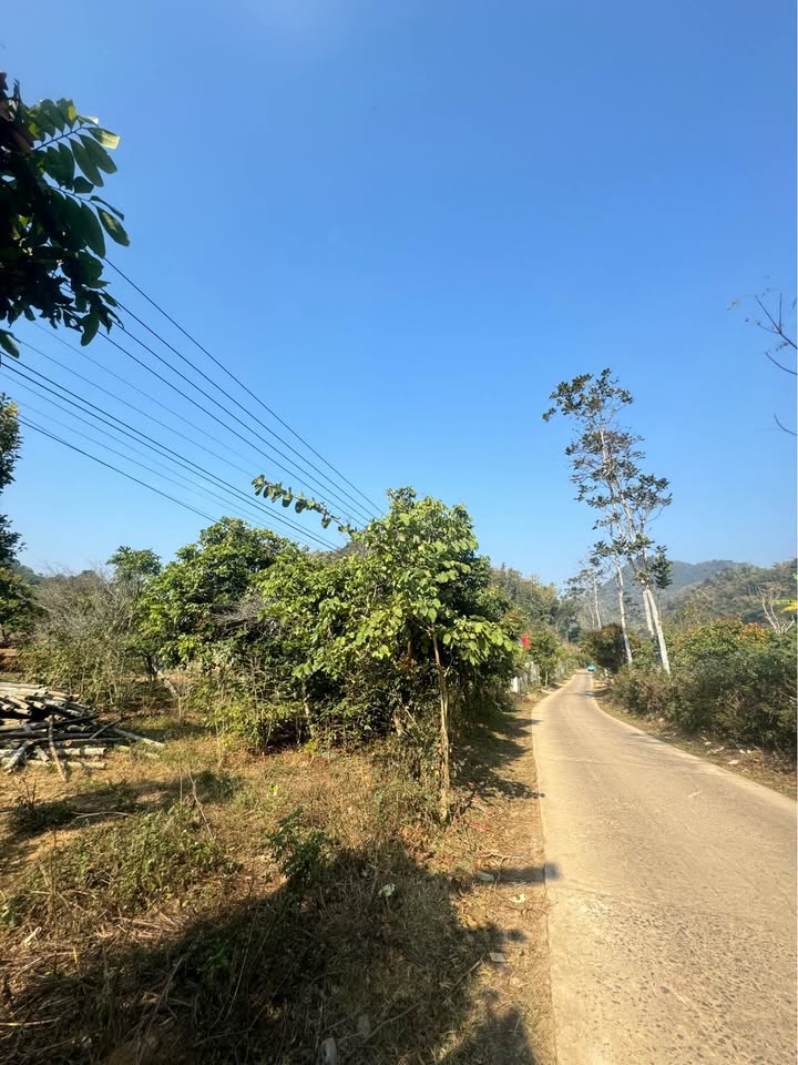 Đất thổ cư 400m² rộng 9000m² tại Chiềng Ngần, Sơn La - Giá chỉ từ 2.x tỷ, thương lượng ngay!