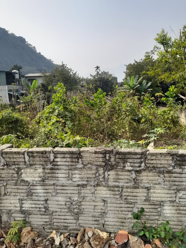 Đất lô góc Phường An Tường 110m² giá 1.1 tỷ - Đầu tư sinh lời ngay!