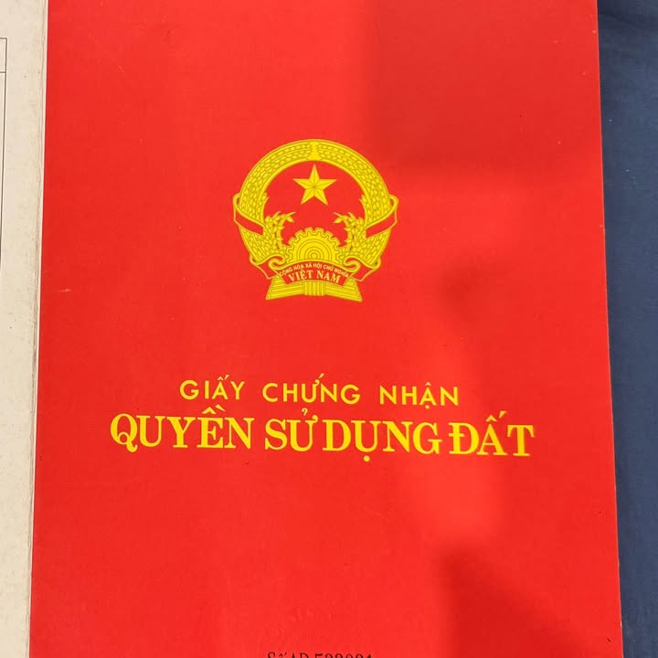 Đất thổ cư 80m² tại xã Mậu A, huyện Văn Yên - Khu vực kinh doanh sầm uất!