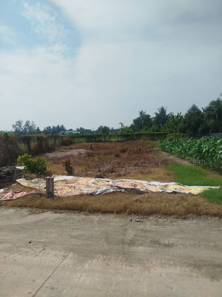 Đất nền liền kề mặt tiền Kinh Đòn Đông, Xã Thạnh Lộc, 630m² chỉ từ 500 triệu