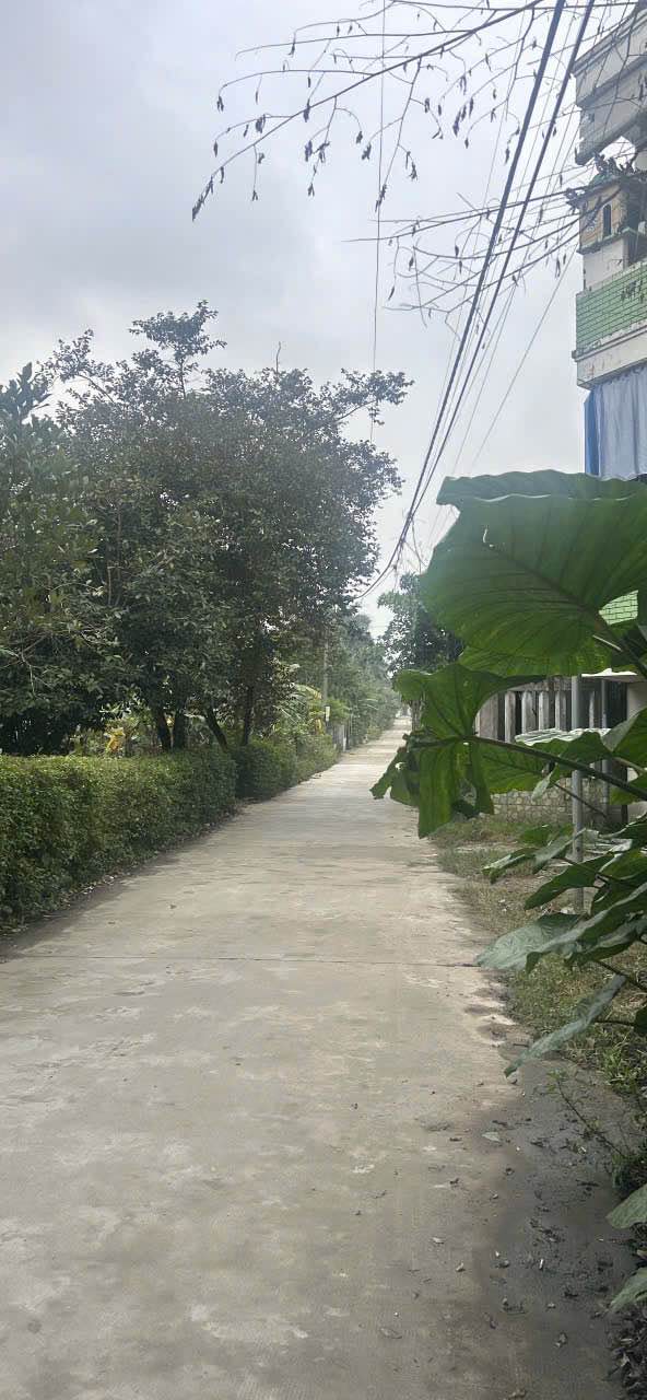 Đất nền đẹp tại Khải Định, Huế 67.5m² giá 400 triệu - Đầu tư sinh lời hấp dẫn!