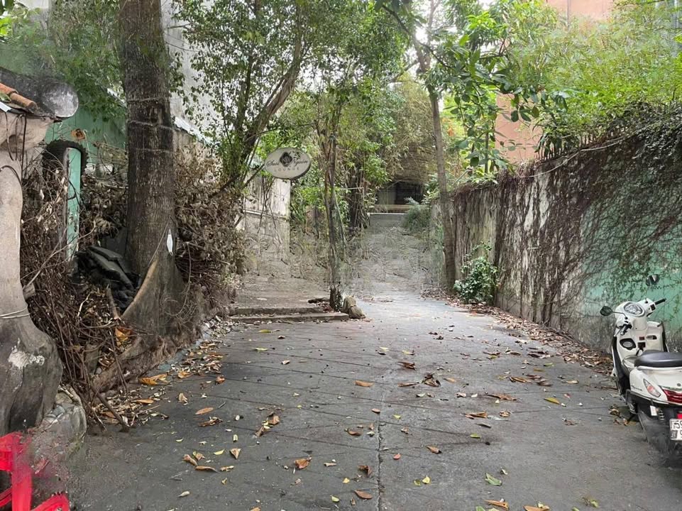 Nhà Mặt Tiền Nguyễn Trọng Tuyển, Quận Tân Bình 1225m² - Phù hợp cho thuê nhà hàng, quán cafe!